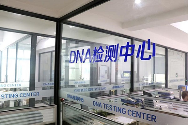 人DNA